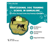 Professional Dog Training School in Bangalore