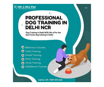 Professional Dog Training in Delhi NCR