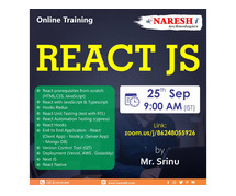 Free Demo On React JS - Naresh IT