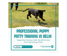 Professional Puppy Potty Training in Delhi