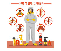 Top Pest Control Services in Guwahati
