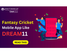 From Idea to Reality: Develop a Cricket App Like Dream11