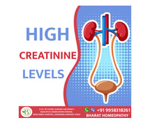 Recognising the Signs of High Creatinine Levels