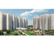 Why Builders Launched Best Residential Projects in Gurgaon
