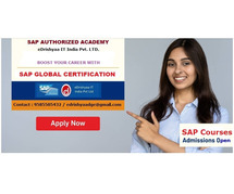 eDrishyaa IT India Pvt. Ltd .....Authorized SAP Academy