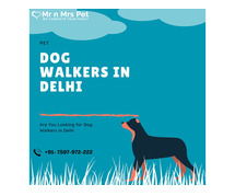 Dog Walkers l Dog Walking Services in Delhi