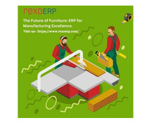 The Future of Furniture: ERP for Manufacturing Excellence.