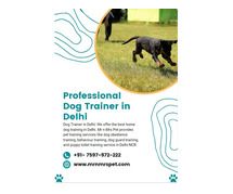 Professional Dog Trainer in Delhi