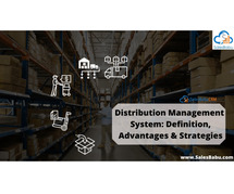 Distribution Management System: Definition, Advantages & Strategies