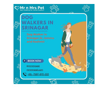 Dog Walkers l Dog Walking Services in srinagar