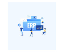 Custom ERP Software Development Company And Services, Hire A Custom ERP Software Developer