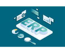 Streamline Your Business Operations with Top ERP Software in Delhi