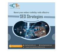 Seo Services In Jaipur | PM IT Solution