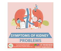 Typical Kidney Problems Symptoms to Watch Out For