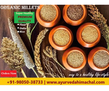 Buy Organic Millets from Arogyam Hospital