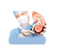 Dr. Niren Rao Treat Kidney Stones, Transplants, or Kidney Cancer: Kidney Doctor in Delhi