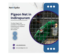 Creating a Safe and Stylish with Pigeon Net for Your Balcony