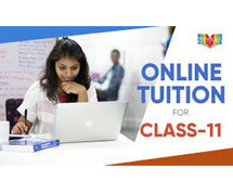 Class 11 Success Made Effortless: Mastering Easy and Effective Online Tuition