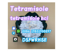 Factory Supply Tetramisole HCl CAS 5086-74-8 Powder with Safety Delivery 5086-74-8