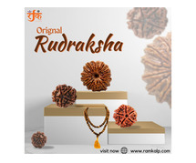 Find Your Perfect Rudraksha at affordable Online Prices