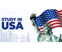 Get Accompanied By Professional USA Study Visa Consultants In Jalandhar
