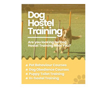 Dog Training School Bangalore