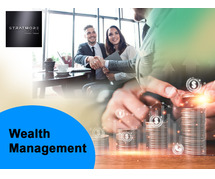 Mastering Wealth Management: Strategies for Financial Success