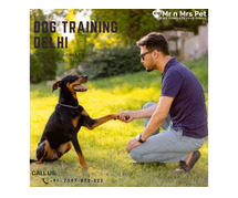 Dog Training Delhi