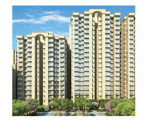 Signature Global Residential and Commercial Projects in Gurgaon
