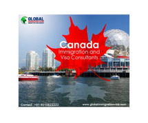 Canada Immigration and Visa Consultants