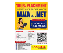 100% Placement Assistance Program On Java Developer & .Net. - Naresh IT