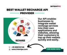 Best Wallet Recharge API Provider in India