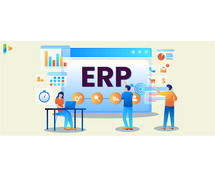 ERP software Company in India