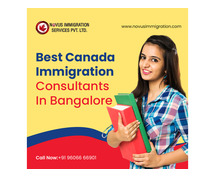 Top Immigration and Visa Consultants in