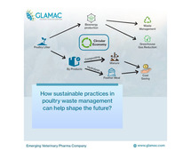 How Sustainable Practices in Poultry Waste Management Can Help Shape the Future?