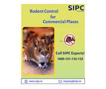Rodent Control Services in Delhi
