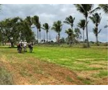 Farm Land For Sale In Hosur - Your Escape to Greenery.