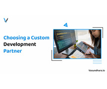 Choosing the Right Custom Development Partner: Key Factors to Consider