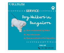Expert Dog Walking Services Bangalore