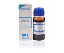 Buy SBL Berberis Aquifolium 1X to get rid of Pimples