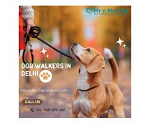 Expert Dog Walking Services Delhi