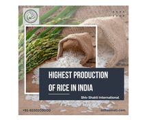 Highest Production of Rice in India