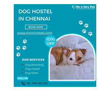 Best Dog Sitter Chennai at Affordable Price