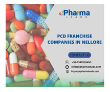 PCD Franchise Companies In Nellore