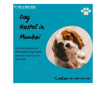 Best Dog Sitter Mumbai at Affordable Price
