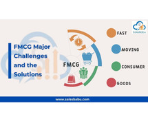 FMCG Major Challenges And The Solutions