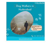 Expert Dog Walking Services Hyderabad