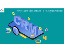 Why CRM Important For Organization ?