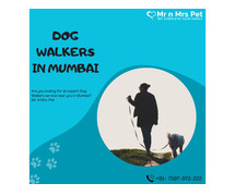Expert Dog Walking Services Mumbai