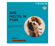 Best Dog Sitter Pune at Affordable Price